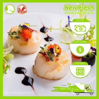 [GIAO NHANH HCM] Cồi Sò Điệp Nhật Size Lớn - Túi 500Gr