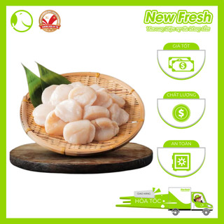 [GIAO NHANH HCM] Cồi Sò Điệp Nhật Size Lớn - Túi 500Gr