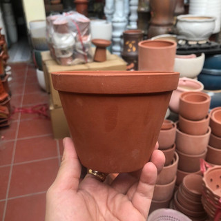 Combo 10 chậu đất nung đủ sz