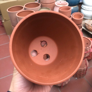 Combo 10 chậu đất nung đủ sz