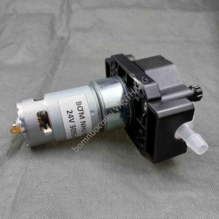Bơm Nhu Động 24V 3095ml/p
