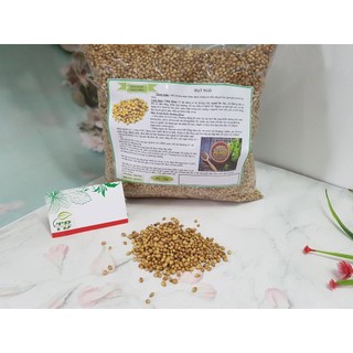 Hạt Mùi - Hạt Ngò 500g - Thảo dược Thanh Bình