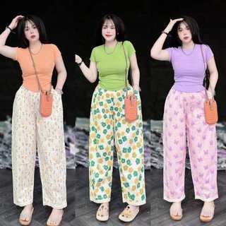  Set bộ nữ set bộ thể thao quần đũi form baggy có túi áo ngắn tay thun gân quần áo nữ đồ mặc nhà 