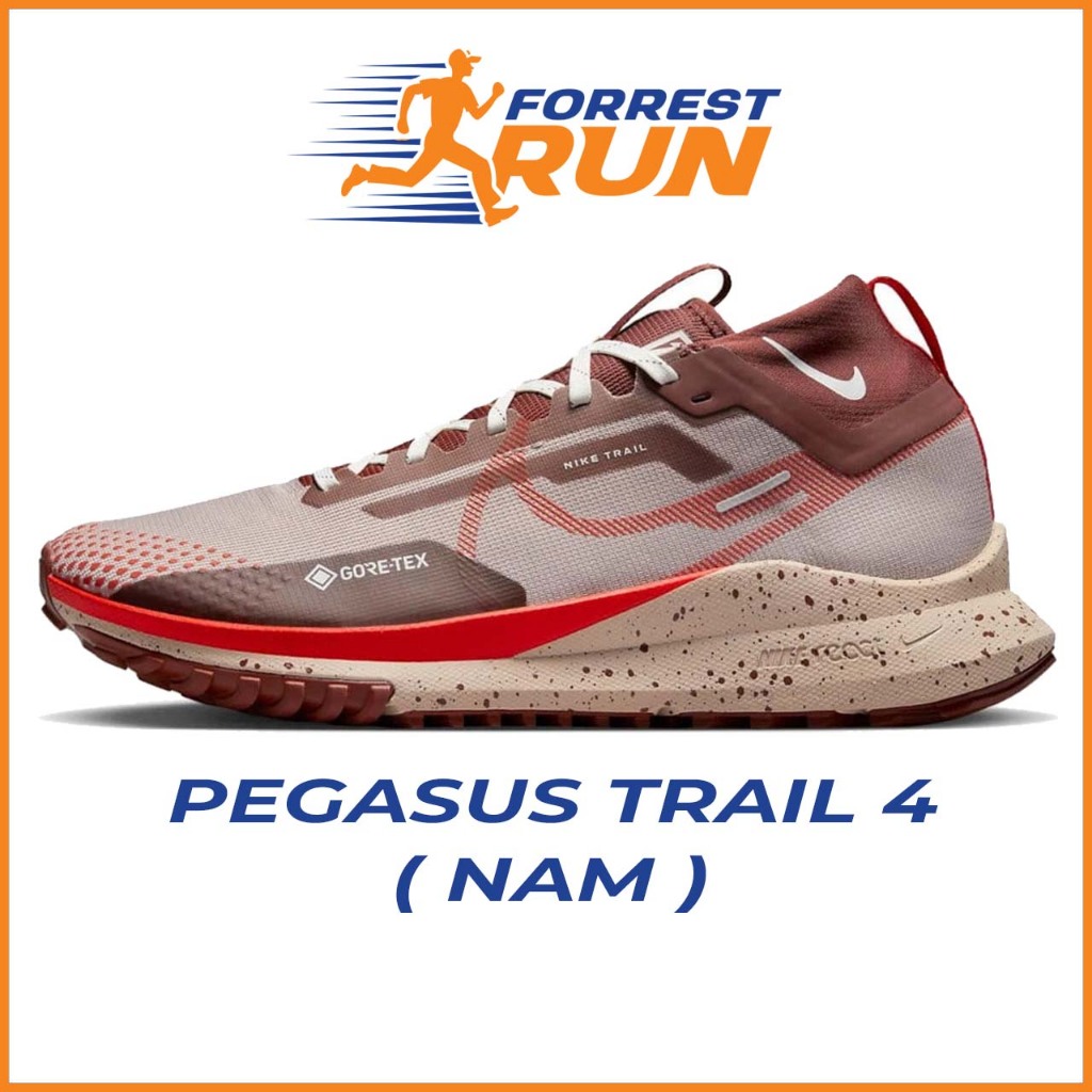 Giày chạy nam Pegasus Trail 4 GORE-TEX DJ7926-200