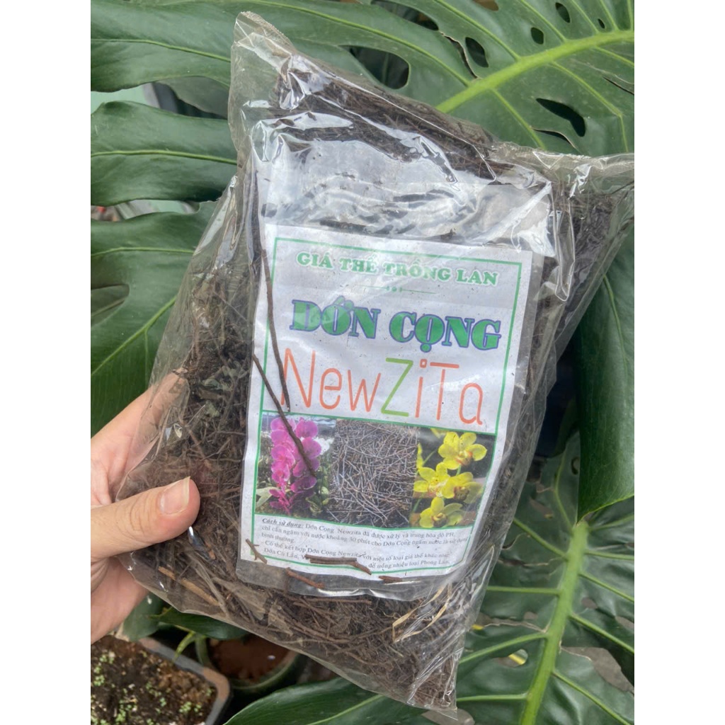 Gói 200gr dớn cọng / dớn đá / dớn cù lần NewZita