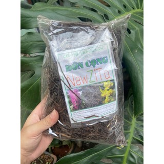 Gói 200gr dớn cọng / dớn đá / dớn cù lần NewZita