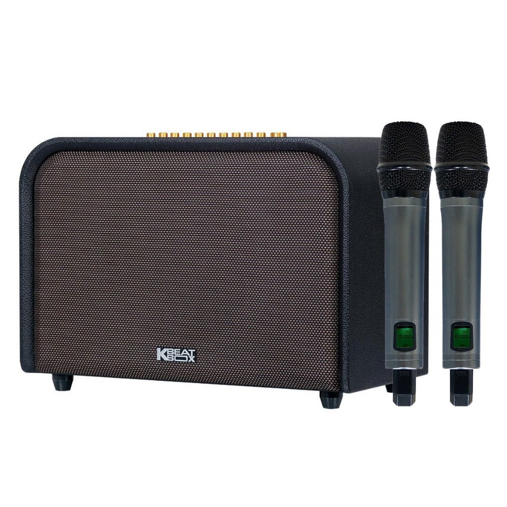 Loa Karaoke Acnos Acoustic 3 220W Chính Hãng SONCAMEDIA