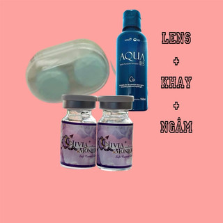 Kính áp tròng 𝐋𝐄𝐍 𝐦𝐚̆́𝐭 𝐗𝐚́𝐦 𝐭𝐚̂𝐲( Pony) (Tặng kèm khay có Dụng cụ đeo )