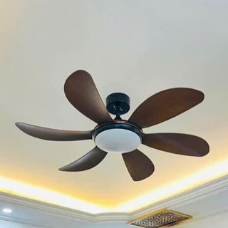   Lõi Đồng-Loại 1 Quạt đèn 6 cánh sải cánh 1m2 phù hợp lắp phòng khách,ngủ có điều chỉnh được chiều cao kèm điều khiển 
