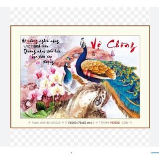 Tranh đính đá vợ chồng VS050 (KT: 75 x 52 cm)