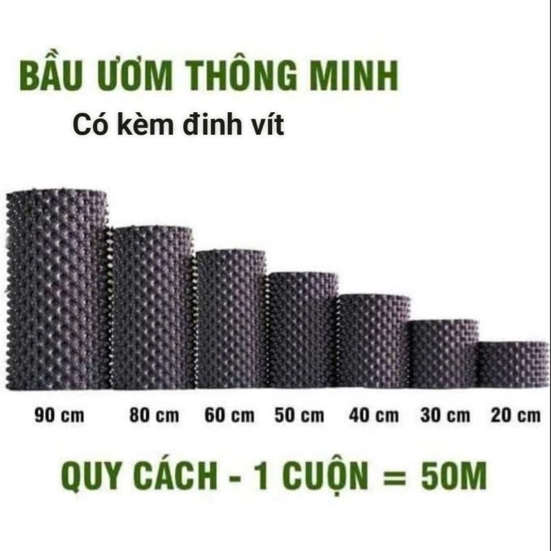 Bầu ươm cây V6 thông minh cao Cuộn 50 m