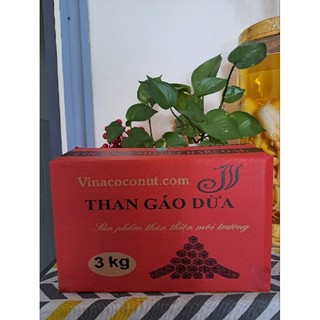Than gáo dừa nướng BBQ- 3kg