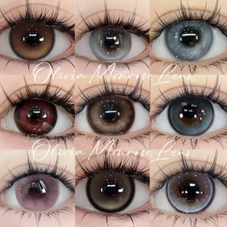 Olivia monrose lens - BST Lens Xám mới nhất  - Có O độ - Inbox ( Giá 1 đôi )