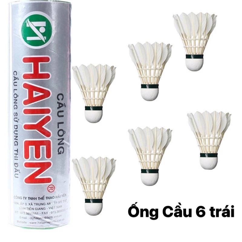 CẦU LÔNG HẢI YẾN
