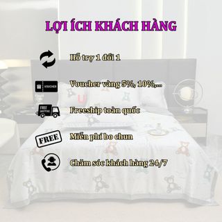 Gối cao su non cao cấp Ventry