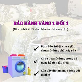 Gối cao su non cao cấp Ventry