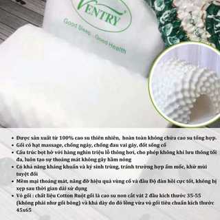 Gối cao su non cao cấp Ventry