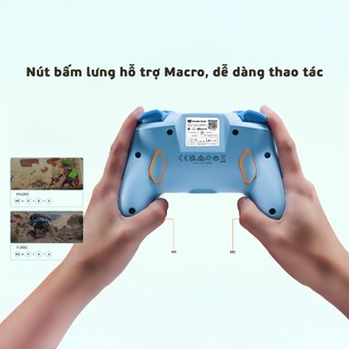 Tay cầm chơi game Nintendo Switch, Nintendo Switch Oled