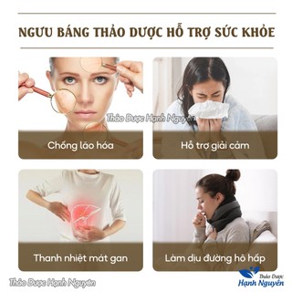 Ngưu báng 1kg, rễ ngưu bàng, dùng nấu canh dưỡng sinh, pha trà dashi, tốt cho sức khỏe - Hạnh Nguyên