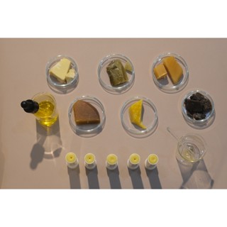 Son Dưỡng Môi Thiên Nhiên Hương Mộc Hoa Bèo Tấm - mềm môi, thơm dịu hương hoa mộc, an toàn cho cả mẹ bầu và em bé