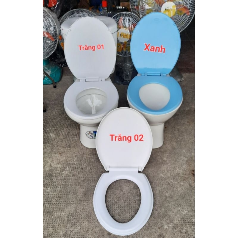Nắp bồn cầu Xanh,trắng[ 900g].gắn vừa bồn cầu 2 két nước và bệ ngồi.(Không Vừa Bồn Cầu liền Khối)