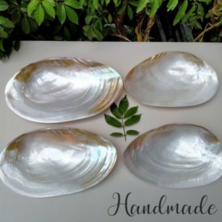 Đĩa đựng trái cây đồ ăn bằng vỏ trai cao cấp - kệ để trang sức