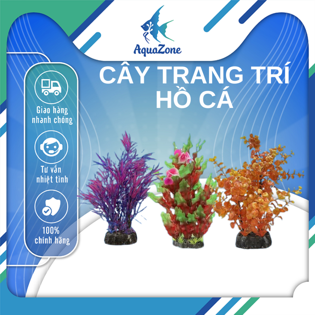 Cây trang trí hồ cá cảnh, thủy sinh