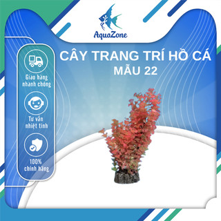 Cây trang trí hồ cá cảnh, thủy sinh