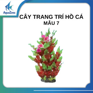 Cây trang trí hồ cá cảnh, thủy sinh