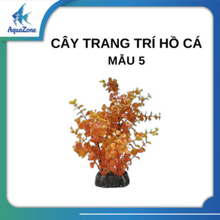 Cây trang trí hồ cá cảnh, thủy sinh