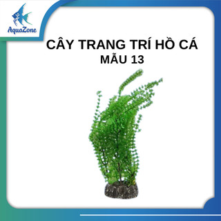 Cây trang trí hồ cá cảnh, thủy sinh