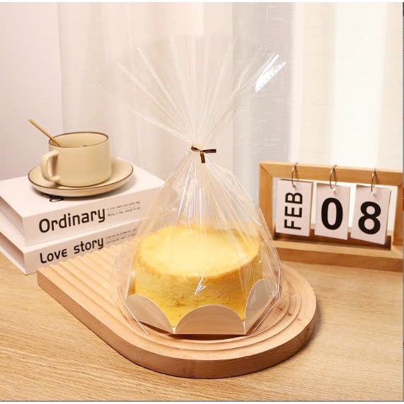 10 Túi đựng đế hoa 6inch