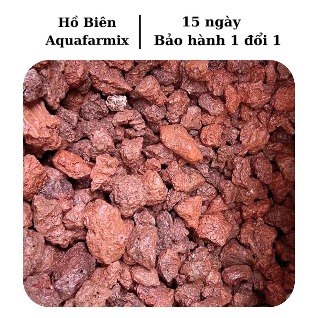 Đá Nham Thạch - Vật liệu lọc nước cho bể cá và hồ thủy sinh