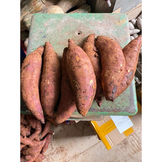 Khoai Lang Mật Đà Lạt, Tà Nung 1kg - Ship Toàn Quốc Dưới Mô Tả.