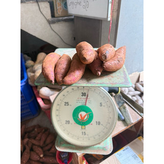 Khoai Lang Mật Đà Lạt, Tà Nung 1kg - Ship Toàn Quốc Dưới Mô Tả.