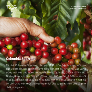 Cà phê Flusso Espresso Colombia Supremo
