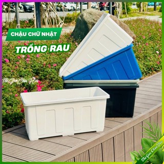 Chậu chữ nhật trồng rau và cây, Chậu nhựa cao cấp trồng cây và hoa, thả cá trang trí nhà cửa sân vườn
