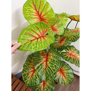 CÂY GIẢ - CÂY MÔN SỌC ĐỎ 75CM