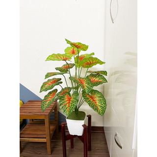CÂY GIẢ - CÂY MÔN SỌC ĐỎ 75CM