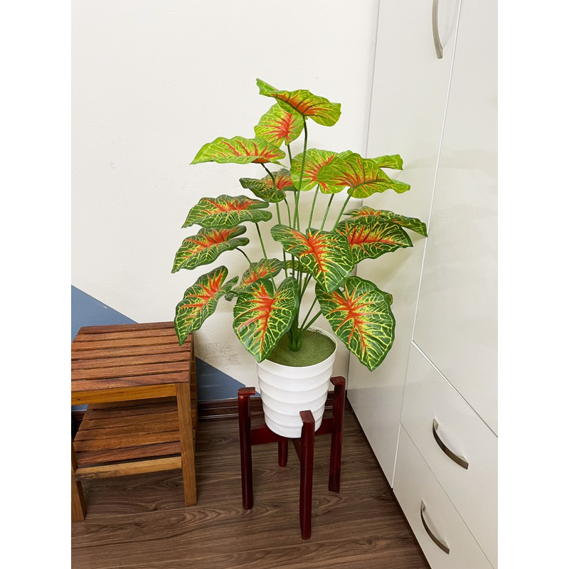 CÂY GIẢ - CÂY MÔN SỌC ĐỎ 75CM