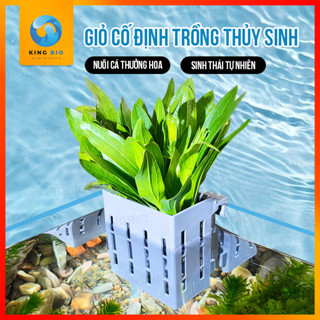  Giỏ trồng cây thủy sinh - giỏ trồng cây mốc thành hồ cá hồ tép hồ bán cạn 