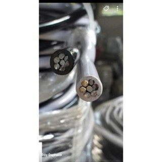 Dây điện nhôm đôi 2x16 2x25 2x35 cáp nhôm luplex 7tim  12 16 25 35 dây xoắn dẫn điện tốt Giá 1m