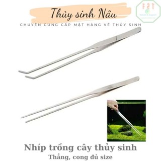 [RẺ VÔ ĐỊCH] Nhíp Trồng Cây Thủy Sinh Mũi Thẳng/Cong 27cm - TSN021