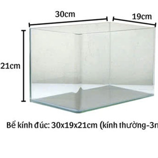 Bể cá mini | Bể kính đúc size 30x19x21cm | Bể cá cảnh, hồ thủy sinh mini