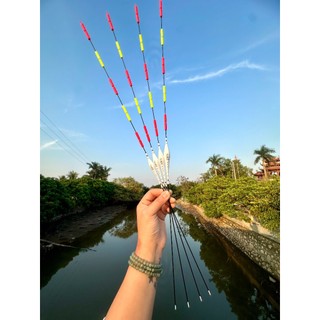  Phao Hố Đấu cao cấp Thẩm Tích  phao câu cá săn hàng Hố Đấu không tự cân  tăm siêu to ,bền bỉ 