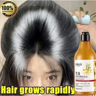 dầu gội mọc tóc Dầu gội kích thích mọc tóc dầu gội chống rụng tóc Dầu gội gừng Chăm sóc tóc 500ml giảm rụng tóc