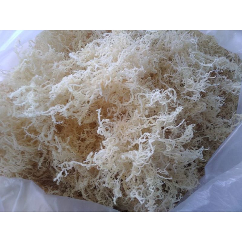 [1nở 10] Rong sụn khô gói