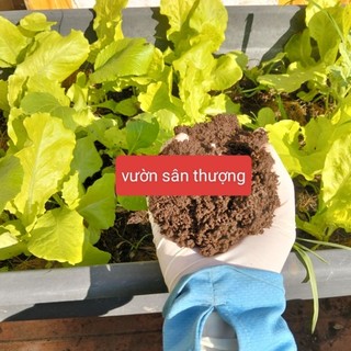 Phân T.rùn Q.uế Hữu Cơ Vườn Nuôi 2kg