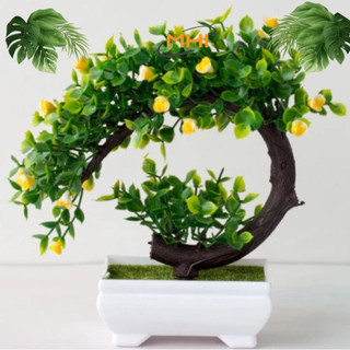  Cây giả BONSAI CÁT TƯỜNG kèm chậu - Chậu cây siêu xinh trang trí để bàn - may mắn tài lộc 