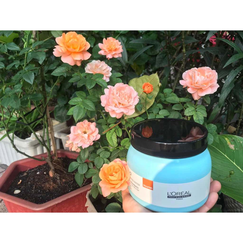 Kem hấp tóc Loreal – Kem ủ phục hồi tóc hư tổn 500 ml tặng serum gội phủ bạc